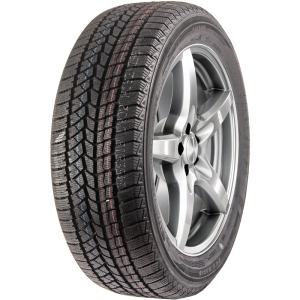 Шина DOUBLESTAR  255/50/19  T 107 DW02
