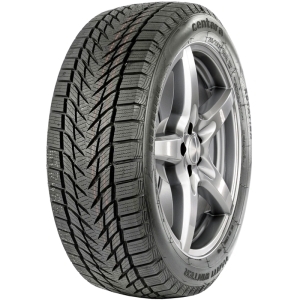 Шина CENTARA Wanti Winter 88H m+s
