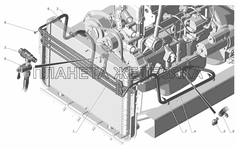 3302-1013001-20. Установка масляного радиатора ГАЗ-3302 (с двиг. УМЗ)