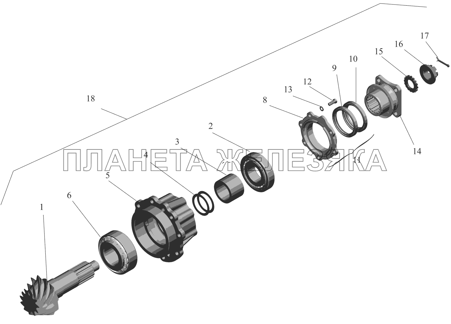 Редуктор заднего моста. Шестерня ведущая 4370-2402021-020 МАЗ-437041 (Зубренок)