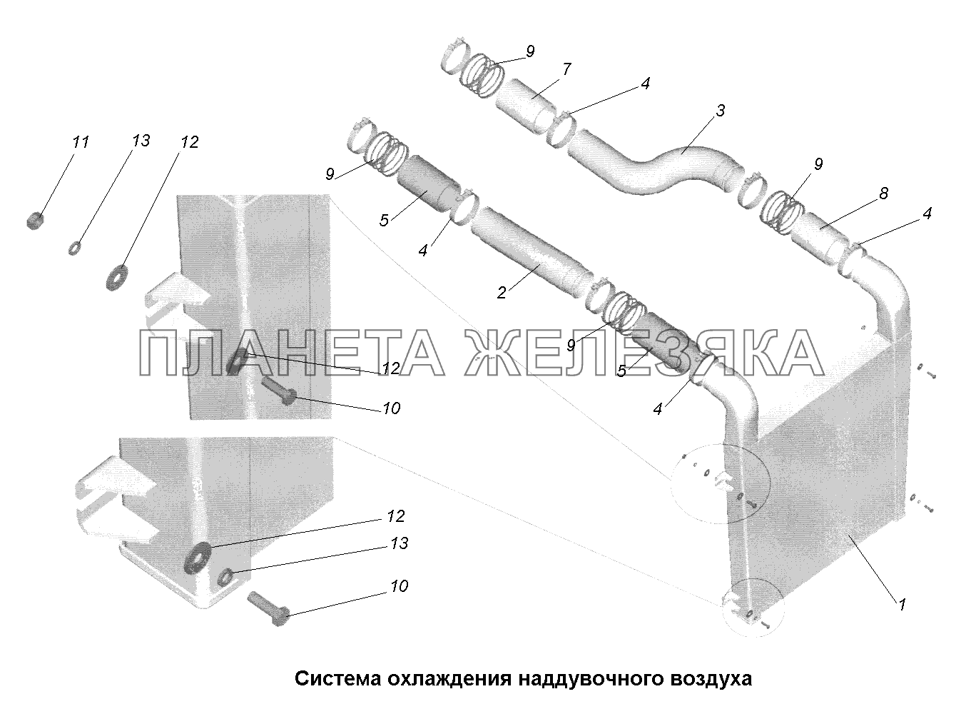 Система охлаждения\Система охлаждения наддувочного воздуха МАЗ-631705, 631708