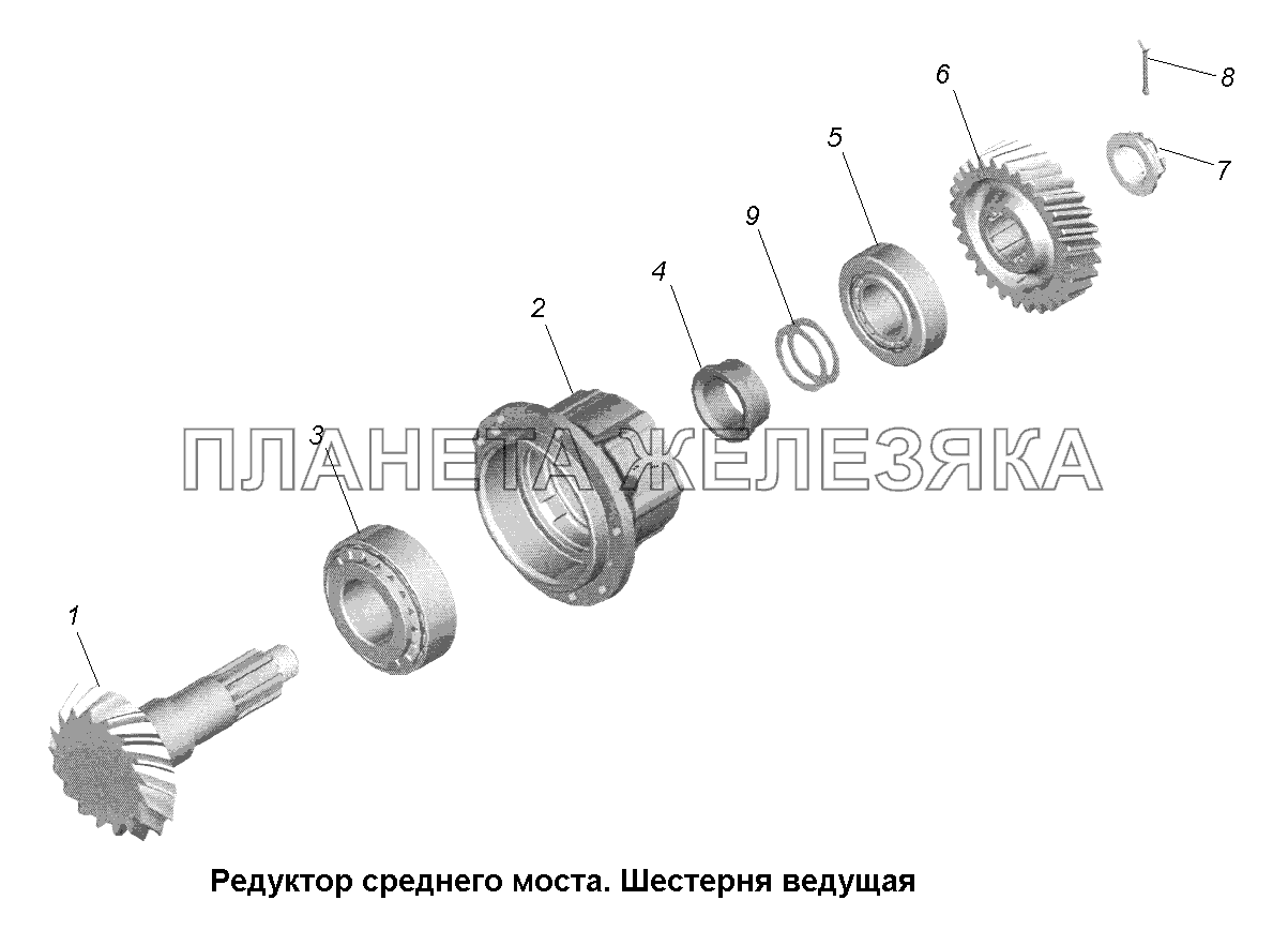 Мост средний\Редуктор среднего моста. Шестерня ведущая МАЗ-631705, 631708