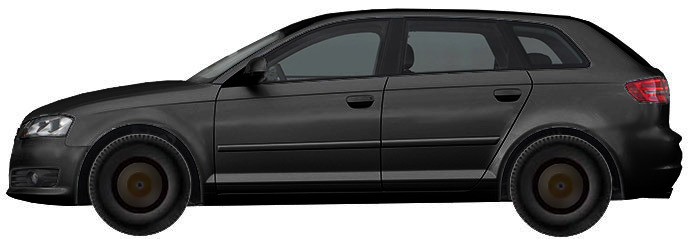 Диски на AUDI A3 2.0 TDI Quattro 2008