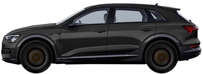 Диски AUDI e-tron S Quattro (2021-2022) R22