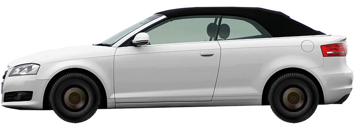 Диски на AUDI A3 1.9 TDI 2008