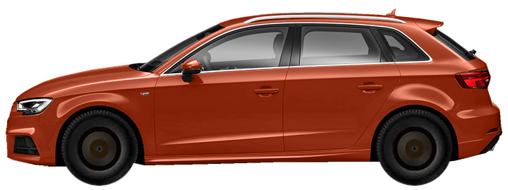 Диски на AUDI A3 8V Sportback 5d (2016 - 2020)