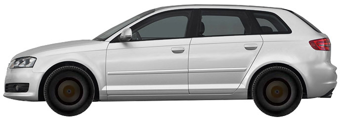 Диски на AUDI A3 1.9 TDI 2008
