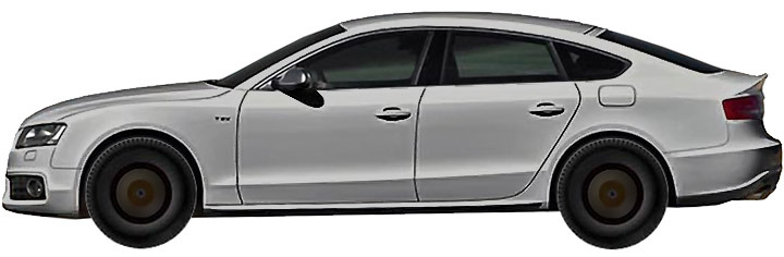Диски AUDI S5 3.0 TFSI Quattro (2009-2011) R19