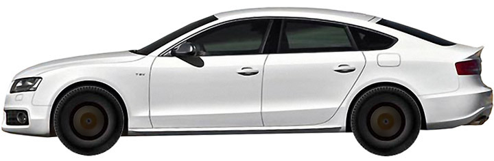 Диски на AUDI S5 3.0 TFSI Quattro 2009