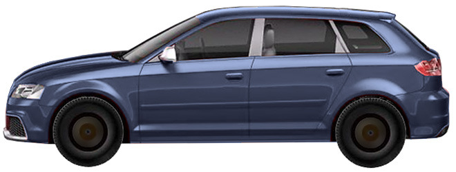Диски на AUDI RS3 8PA Sportback (2011 - 2013)