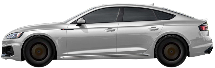 Диски на AUDI RS5 F5 Sportback (2019 - 2022)