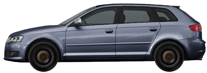 Диски на AUDI A3 2.0 TDI Quattro 2004