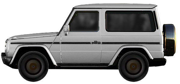 Диски на MERCEDES G-Klasse 300 CDI 4 Matic 2009