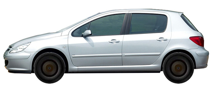 Диски на PEUGEOT 307 1.6 HDi 2001