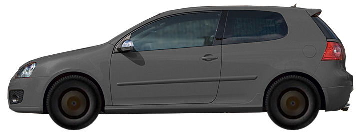 Диски на VOLKSWAGEN Golf V 1.9 TDI 4MOTION 2003