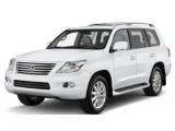 LX (URJ201)