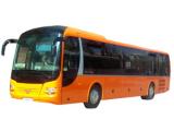 LION S REGIO